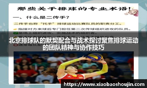 北京排球队的默契配合与战术探讨聚焦排球运动的团队精神与协作技巧