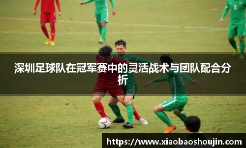 深圳足球队在冠军赛中的灵活战术与团队配合分析
