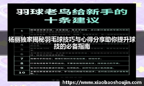 杨丽独家揭秘羽毛球技巧与心得分享助你提升球技的必备指南