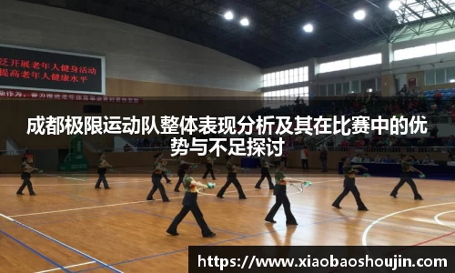 成都极限运动队整体表现分析及其在比赛中的优势与不足探讨