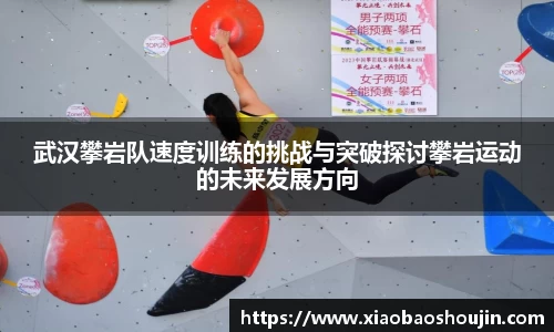武汉攀岩队速度训练的挑战与突破探讨攀岩运动的未来发展方向