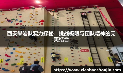 西安攀岩队实力探秘：挑战极限与团队精神的完美结合