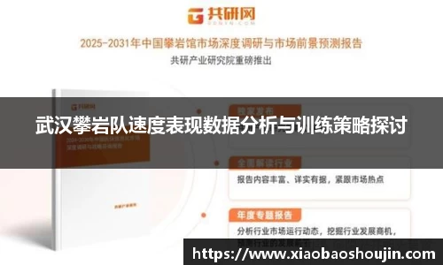 武汉攀岩队速度表现数据分析与训练策略探讨