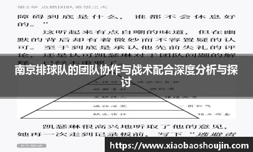 南京排球队的团队协作与战术配合深度分析与探讨