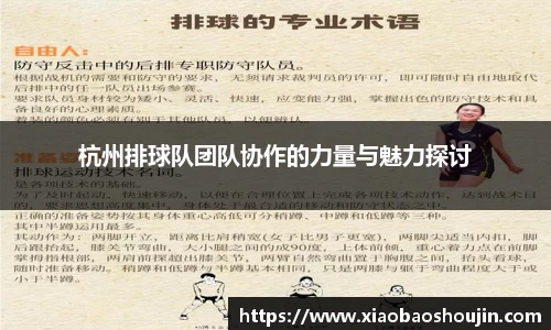 杭州排球队团队协作的力量与魅力探讨