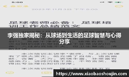 李强独家揭秘：从球场到生活的足球智慧与心得分享