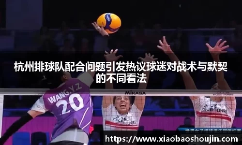 杭州排球队配合问题引发热议球迷对战术与默契的不同看法