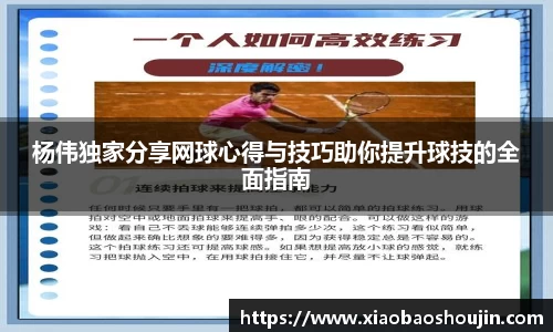 杨伟独家分享网球心得与技巧助你提升球技的全面指南