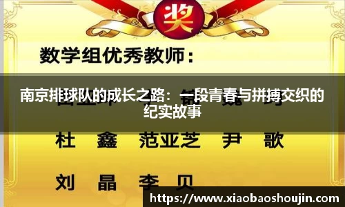 南京排球队的成长之路：一段青春与拼搏交织的纪实故事