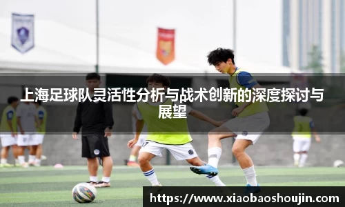 上海足球队灵活性分析与战术创新的深度探讨与展望