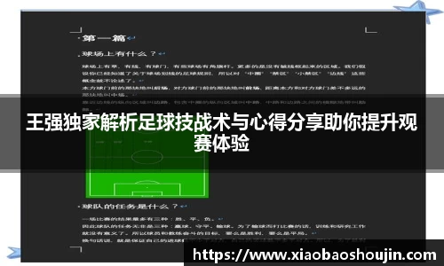 王强独家解析足球技战术与心得分享助你提升观赛体验