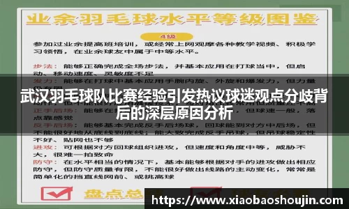 武汉羽毛球队比赛经验引发热议球迷观点分歧背后的深层原因分析