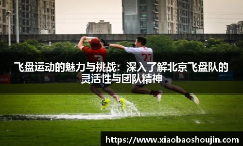 飞盘运动的魅力与挑战：深入了解北京飞盘队的灵活性与团队精神
