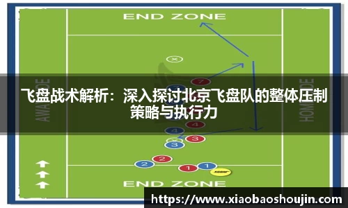 飞盘战术解析：深入探讨北京飞盘队的整体压制策略与执行力